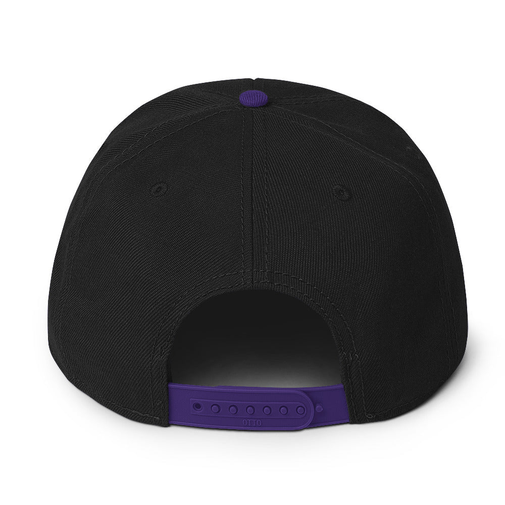 BASC Snapback Hat